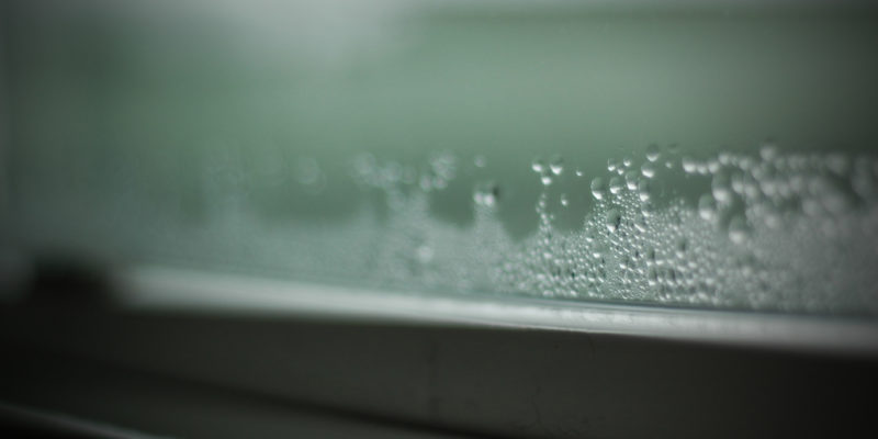 condensation on window