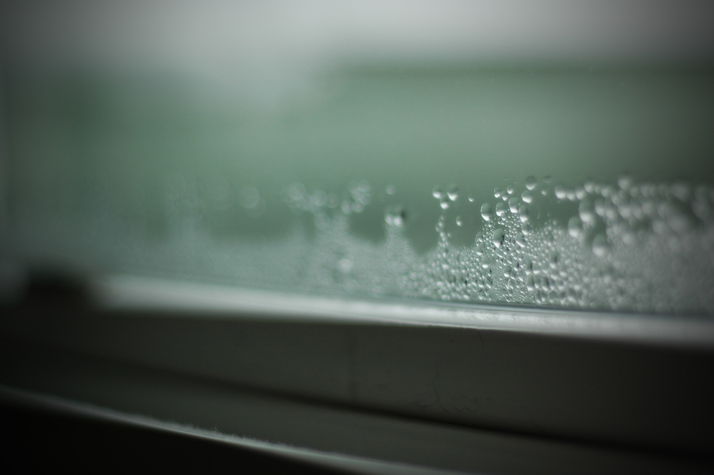 condensation on window