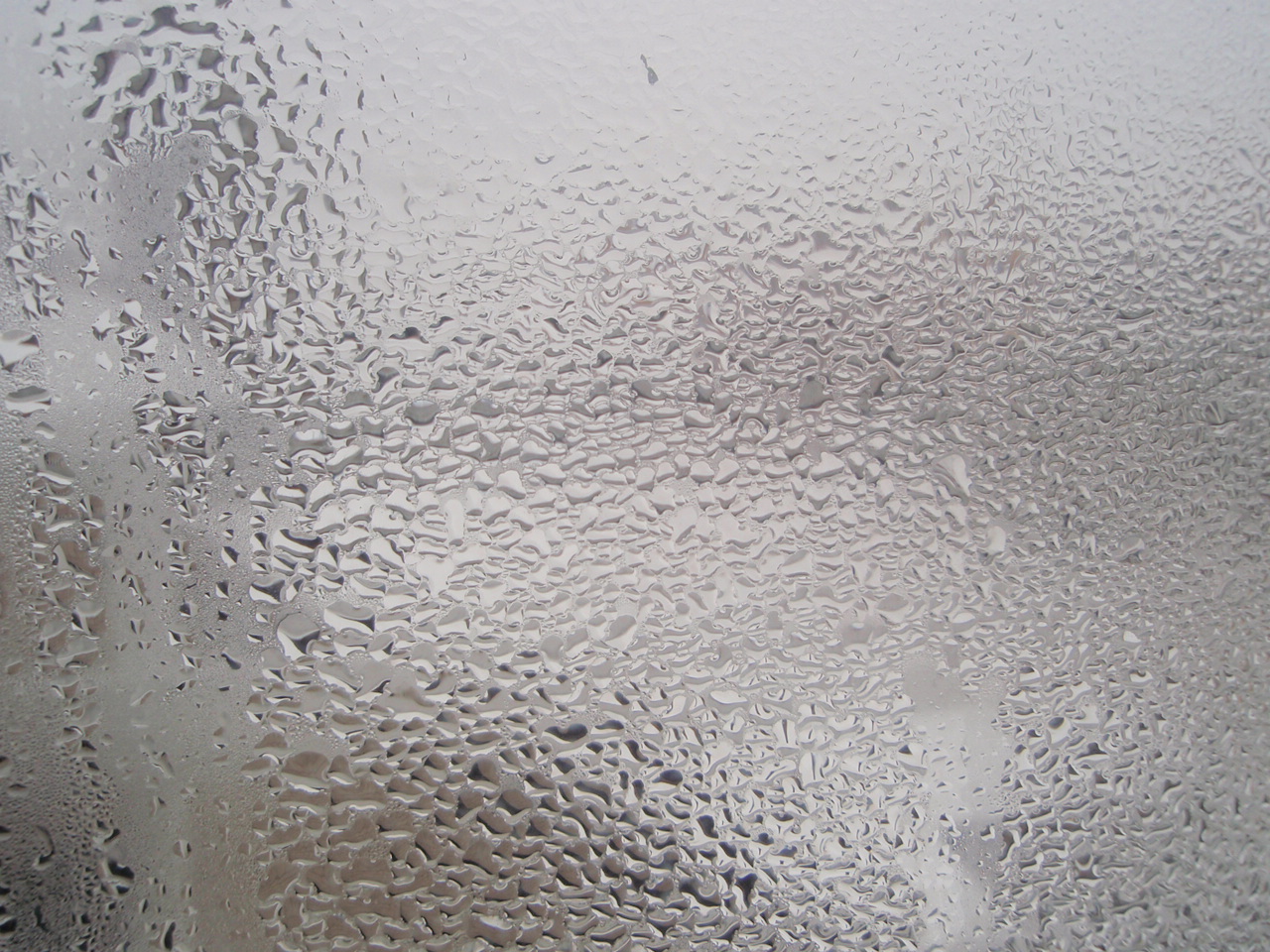 condensation on window