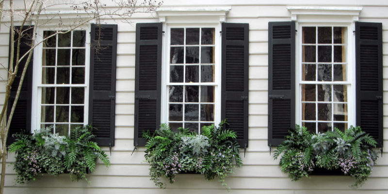 Windows with external shutters