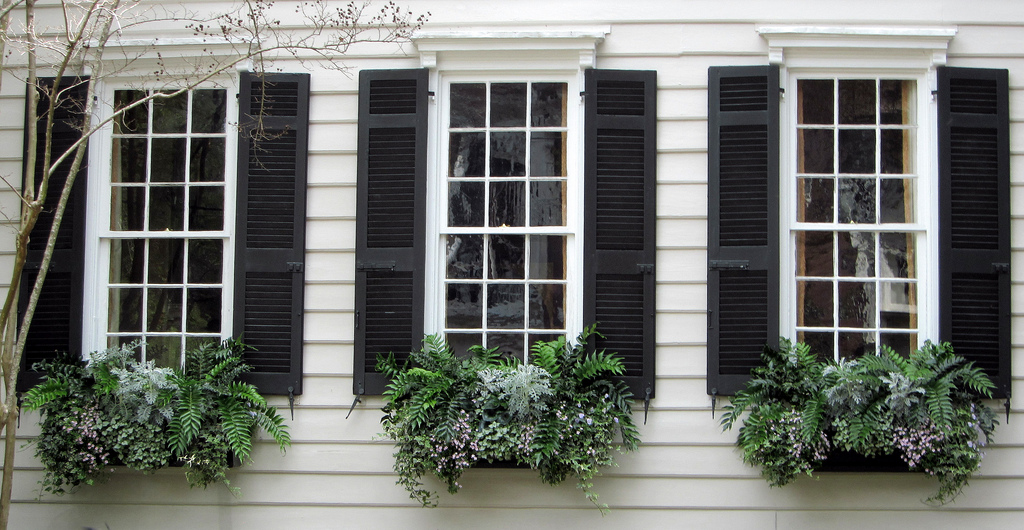 Windows with external shutters