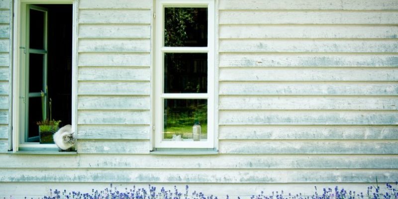 Timber windows