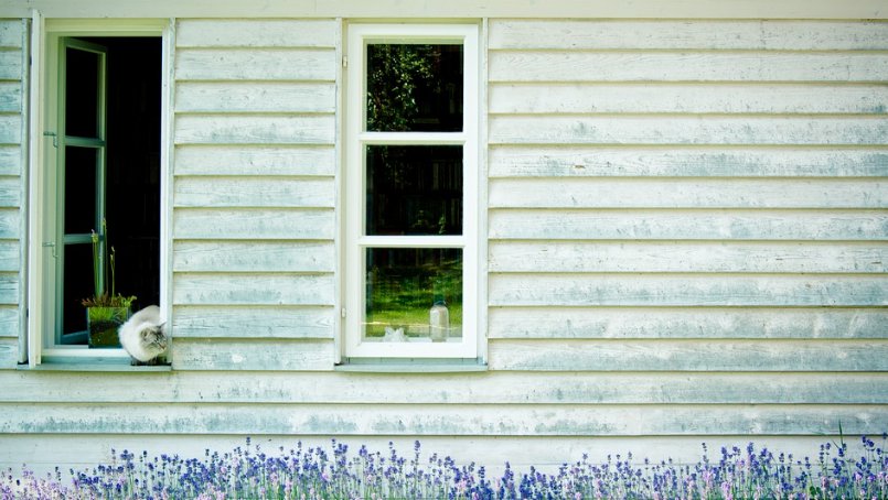 Timber windows