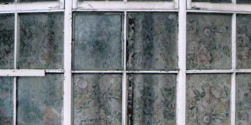 mouldy window frame