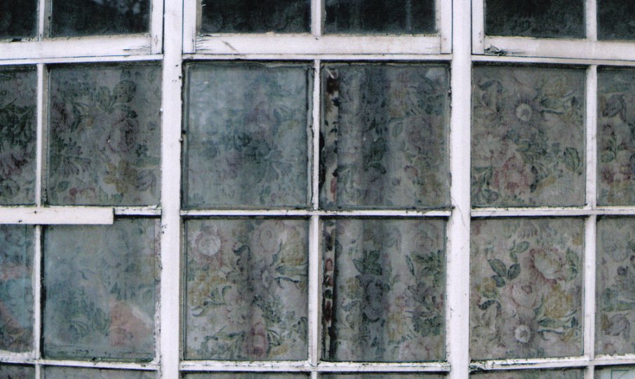 mouldy window frame