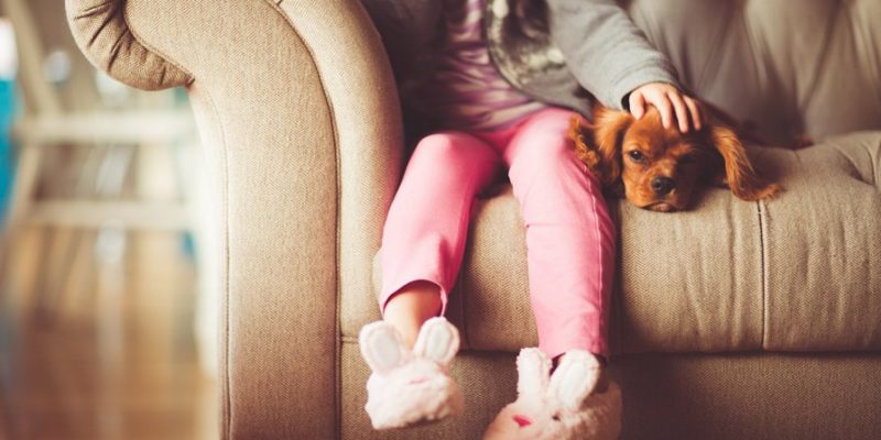 Girl sat on sofa with dog