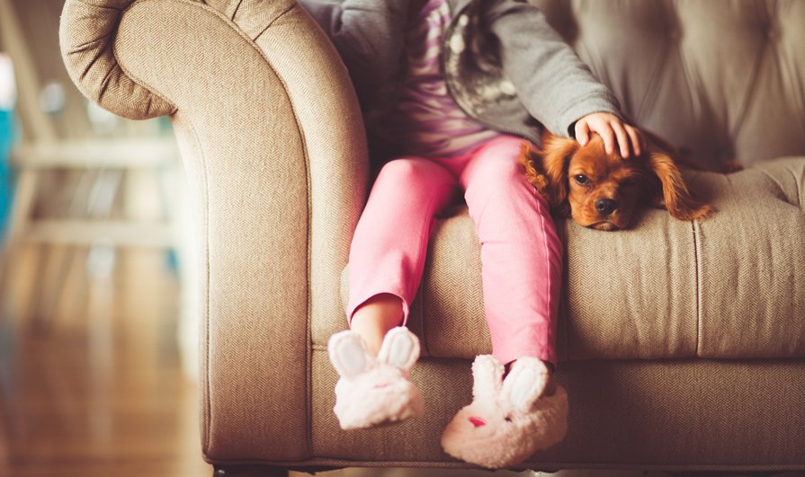 Girl sat on sofa with dog