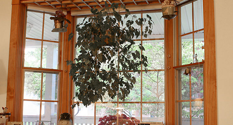 Bay window
