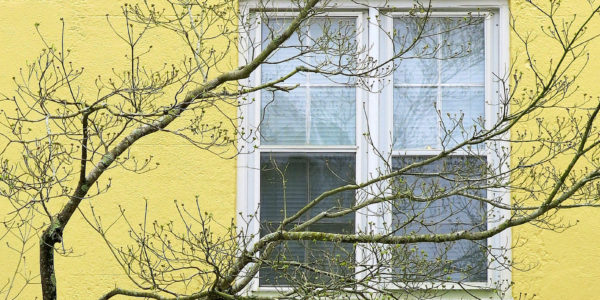How Many Windows Are There in the World? - Windows and More