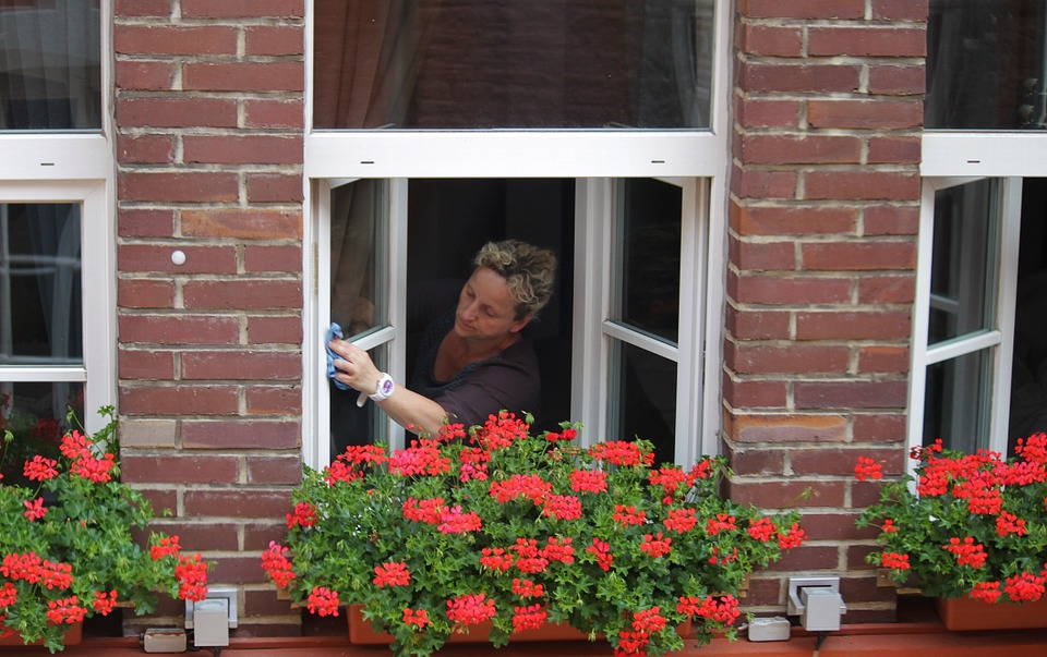 window cleaning