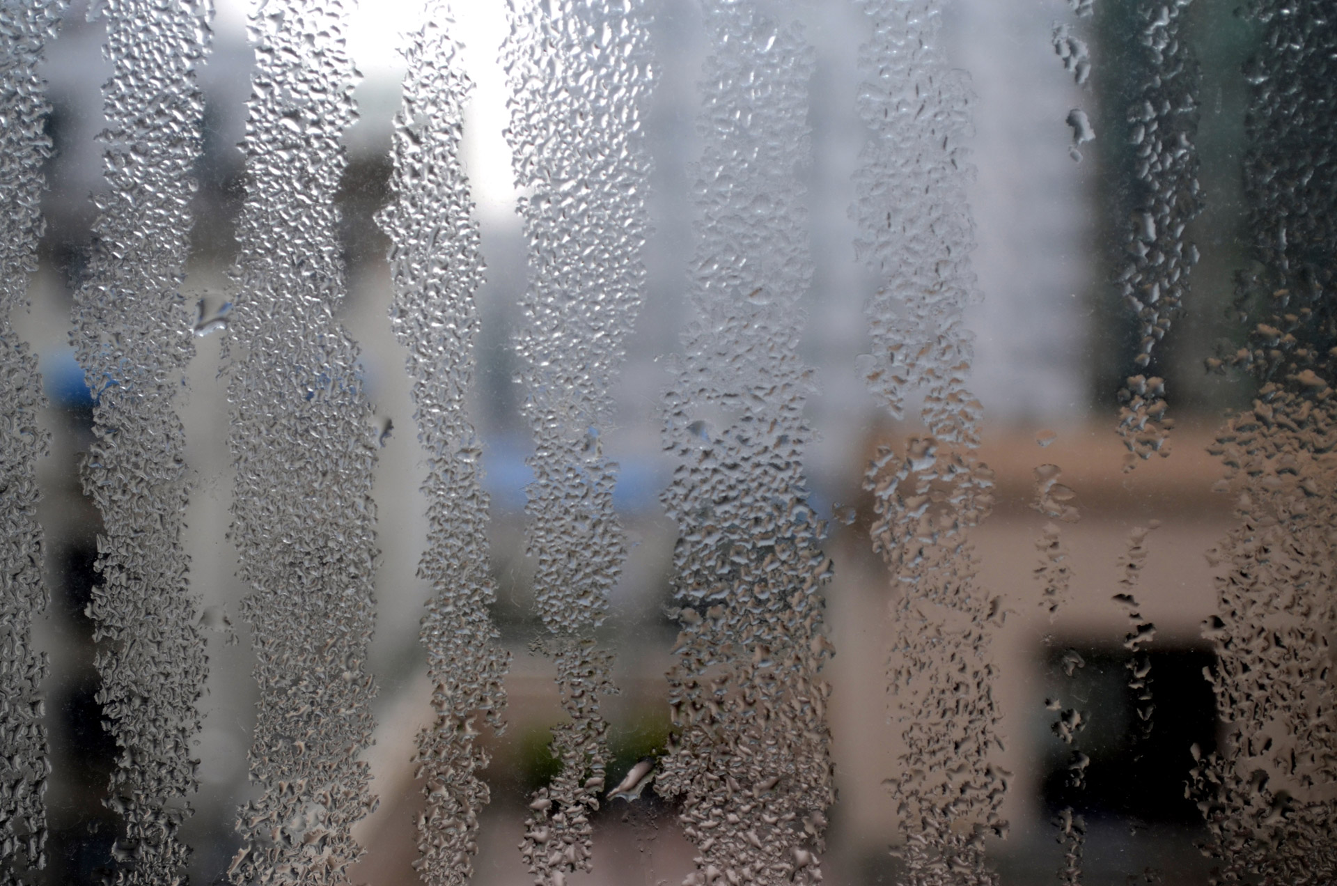 How to Stop Condensation on Your Windows During Winter