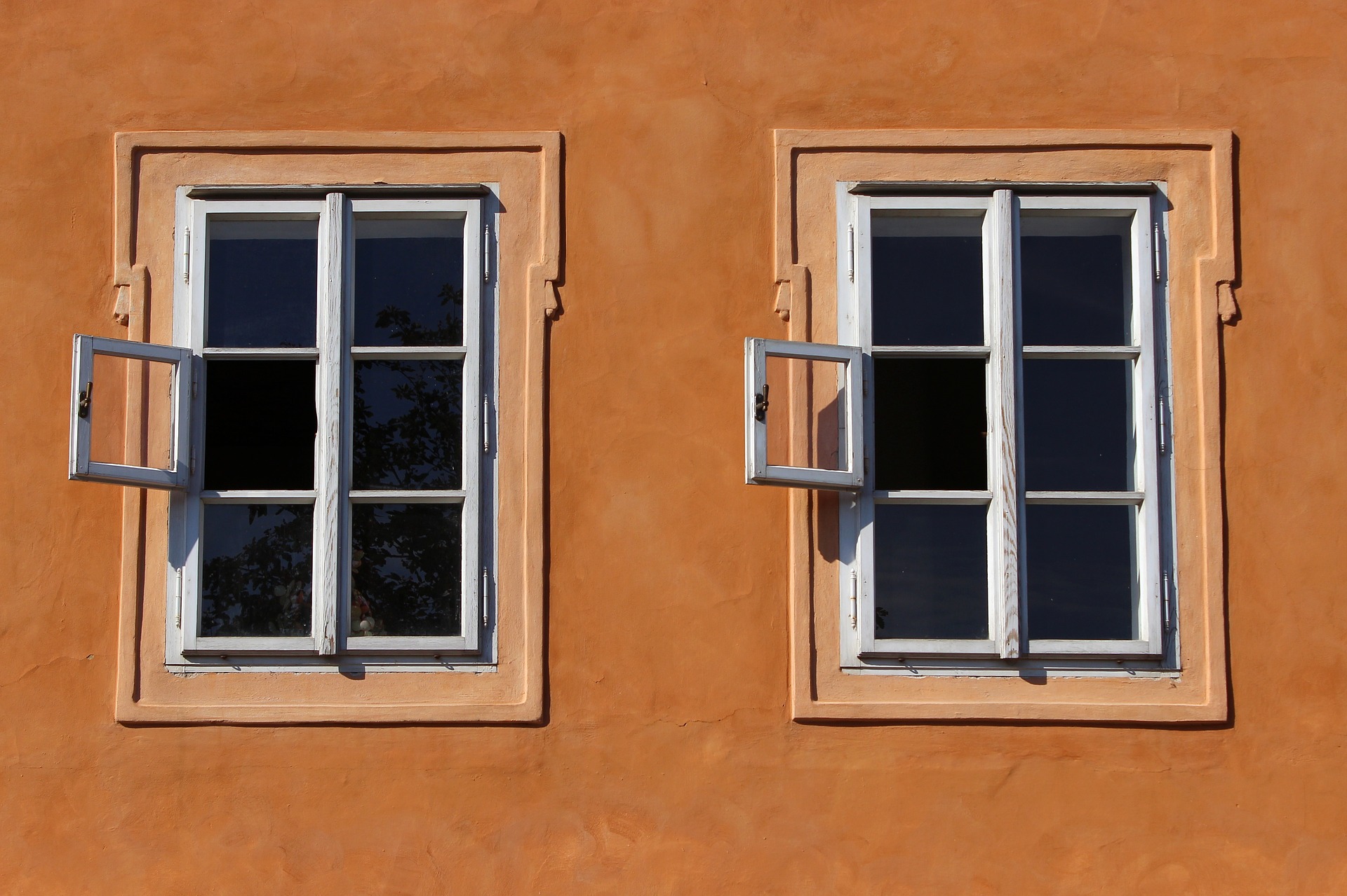 Wooden windows