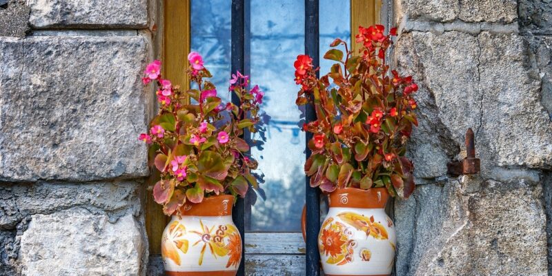 Old timber window frame and windowsill with potted plants