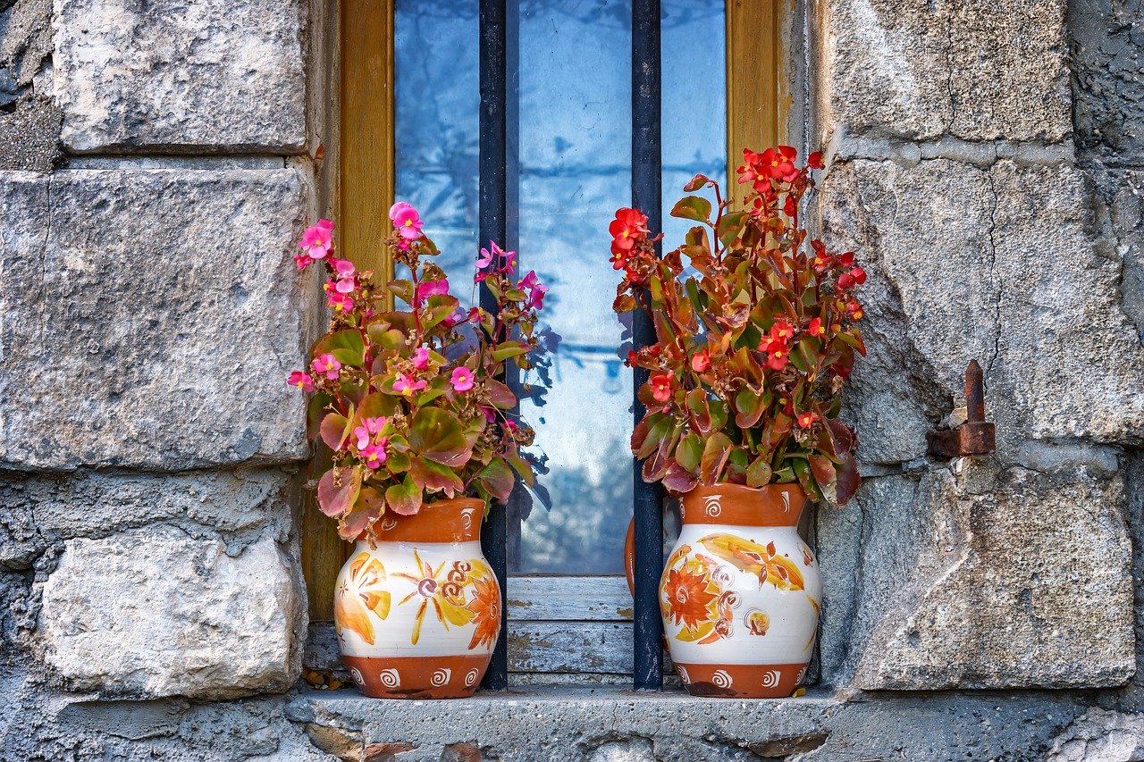 Old timber window frame and windowsill with potted plants